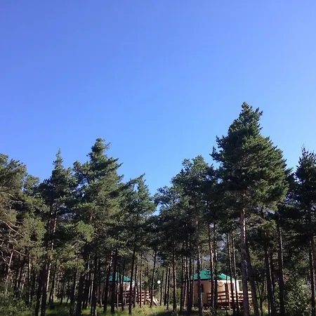 База отдыха Parc Residentiel De Loisir : Le Loup Blanc Du Riou Барселоннет