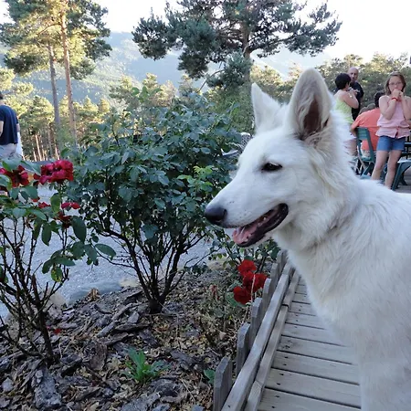 Parc Residentiel De Loisir : Le Loup Blanc Du Riou Vakantiepark