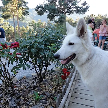 Parc Residentiel De Loisir : Le Loup Blanc Du Riou Holiday park