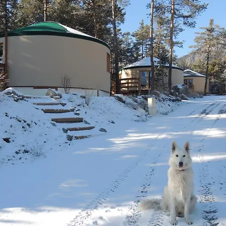 Parc Residentiel De Loisir : Le Loup Blanc Du Riou Holiday park